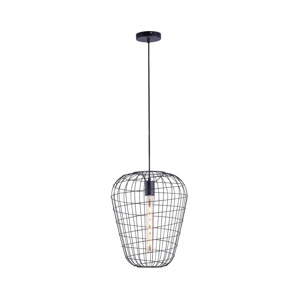 Leuchten Direkt FABIO Pendelleuchte Schwarz, 1-flammig main product photo
