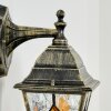 Naofe Außenwandleuchte Gold, Schwarz, 1-flammig