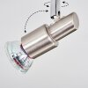 Firan Deckenleuchte LED Nickel-Matt, 2-flammig