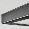 Isela Deckenleuchte LED Schwarz, 1-flammig