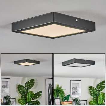 Isela Deckenleuchte LED Schwarz, 1-flammig