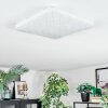 Loden Deckenleuchte LED Weiß, 1-flammig