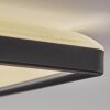 Simonstorp Deckenleuchte LED Schwarz, Weiß, 1-flammig