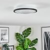 Onara Deckenleuchte LED Schwarz, Weiß, 1-flammig