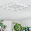 Xarel Deckenleuchte LED Weiß, 1-flammig