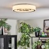 Jalon Deckenleuchte 38,5 cm LED Weiß, 1-flammig, Fernbedienung