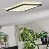 Simonstorp Deckenleuchte LED Schwarz, Weiß, 1-flammig