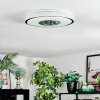 Loron Deckenleuchte LED Silber, Weiß, 1-flammig