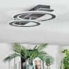 Lidor Deckenleuchte LED Schwarz, Silber, 1-flammig