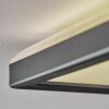 Simonstorp Deckenleuchte LED Schwarz, Weiß, 1-flammig