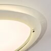 Ipres Deckenleuchte LED Silber, Weiß, 1-flammig