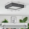 Isela Deckenleuchte LED Schwarz, 1-flammig