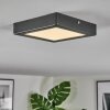 Isela Deckenleuchte LED Schwarz, 1-flammig