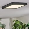 Isela Deckenleuchte LED Schwarz, 1-flammig
