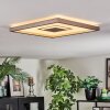 Ilion Deckenleuchte LED Nickel-Matt, Weiß, 1-flammig