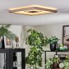Ilion Deckenleuchte LED Nickel-Matt, Weiß, 1-flammig