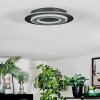 Lidor Deckenleuchte LED Schwarz, 1-flammig