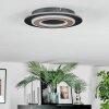 Lidor Deckenleuchte LED Schwarz, 1-flammig