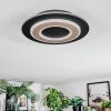 Lidor Deckenleuchte LED Schwarz, 1-flammig