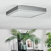 Salmi Deckenpanel LED Grau, Silber, 1-flammig