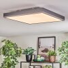Salmi Deckenpanel LED Grau, Silber, 1-flammig