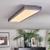 Salmi Deckenpanel LED Grau, Silber, 1-flammig