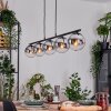 Gastor Pendelleuchte Glas 15 cm Chrom, Klar, Rauchfarben, 5-flammig