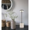 Globo Polina Tischleuchte LED Chrom, Grau, Schwarz, 1-flammig