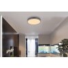 Globo Doro Deckenleuchte LED Grau, Silber, 1-flammig