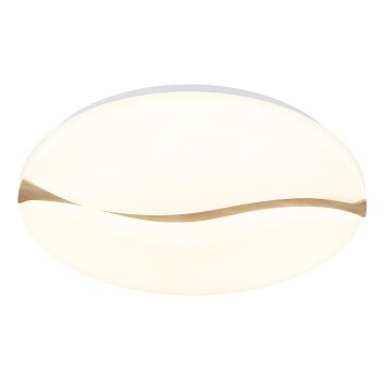 Globo Leticia Deckenleuchte LED Weiß, 1-flammig Globo Leticia Deckenleuchte LED Weiß, 1-flammig