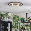Lidor Deckenleuchte LED Schwarz, 1-flammig