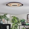 Lidor Deckenleuchte LED Schwarz, 1-flammig