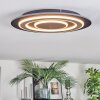 Lidor Deckenleuchte LED Schwarz, 1-flammig