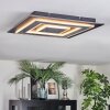 Lidor Deckenleuchte LED Schwarz, 1-flammig