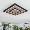 Lidor Deckenleuchte LED Schwarz, 1-flammig