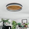 Guine Deckenleuchte LED Gold, Schwarz, 1-flammig