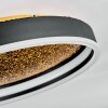 Guine Deckenleuchte LED Gold, Schwarz, 1-flammig