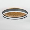 Guine Deckenleuchte LED Gold, Schwarz, 1-flammig