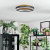 Guine Deckenleuchte LED Gold, Schwarz, 1-flammig