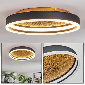 Guine Deckenleuchte LED Gold, Schwarz, 1-flammig