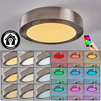 Omaro Deckenpanel LED Nickel-Matt, 1-flammig