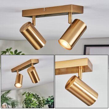 Javel Deckenleuchte Gold, 2-flammig