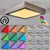 Omaro Deckenpanel LED Nickel-Matt, 1-flammig