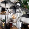 Koyoto Pendelleuchte Glas 15 cm Bernsteinfarben, Chrom, Klar, Rauchfarben, 5-flammig