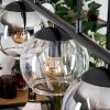 Koyoto Pendelleuchte Glas 15 cm Bernsteinfarben, Klar, Rauchfarben, 5-flammig