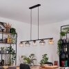 Koyoto Pendelleuchte Glas 15 cm Bernsteinfarben, Klar, Rauchfarben, 5-flammig
