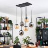 Gastor Hängeleuchte Glas 20 cm Schwarz, 6-flammig