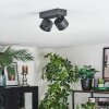Narel Deckenleuchte LED Schwarz, 2-flammig