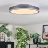Salmi Deckenpanel LED Grau, Silber, 1-flammig