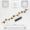 Chehalis Deckenleuchte Glas 10 cm, 12 cm, 15 cm Gold, Schwarz, 10-flammig